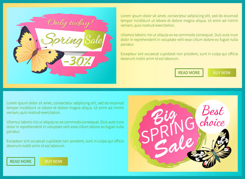 Only today big spring sale labels on posters with butterflies, day-flying moth with wings vector voucher advertisement sticker with tag, add your text
