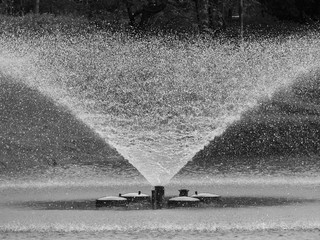 black and white fountain in the park