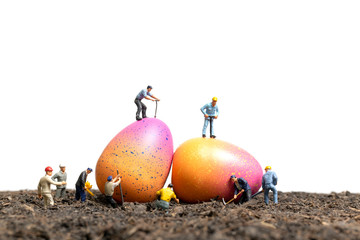 Miniature people work at Easter-eggs for Easter day with white background