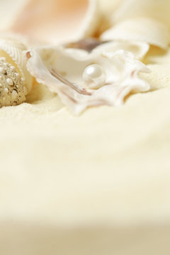 Organic pearl in a shell. Beautiful seashells arrangement on the white beach sand. Treasure from the sea concept.