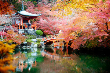 Daigo-ji is a sacred temple of the Shinji Ancestral Temple in the Tokyu-cho, Fushimi-ku, Kyoto, Japan. Mountain
