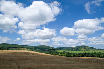 Fototapeta premium Wheat field, forest, clouds