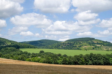 Wheat field, forest, clouds Bulgaria