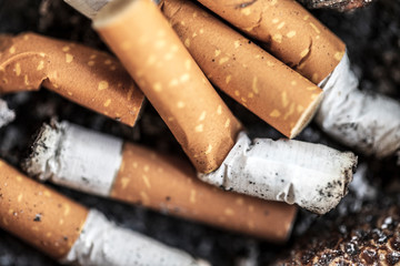 Macro View of cigarettes butt