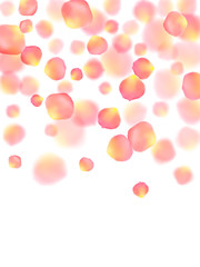 Rose gold petals flying cosmetics vector background.