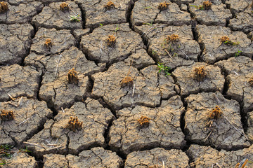 The abstract of the cracks of the ground according to the tropical climate