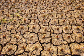 The abstract of the cracks of the ground according to the tropical climate