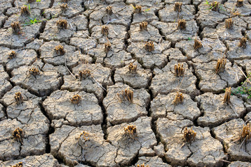 The abstract of the cracks of the ground according to the tropical climate