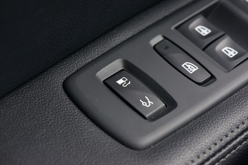 Obraz premium trunk and gas cover button