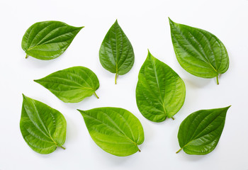 Green betel leaves, Fresh piper betle on white