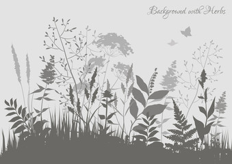 Soft pastel gray background with wild herbs. Floral background. Abstract landscape. Vector illustration.