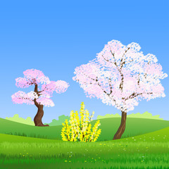 Spring landscape with blooming trees