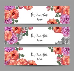 Card set of Banner with rose Flower  Design Vector - Vector