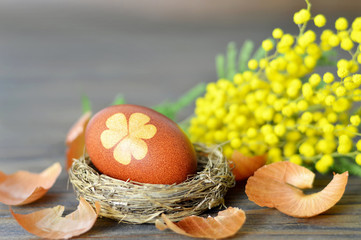 Easter egg naturally died with onion skins and mimosa flowers 