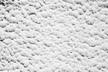 Wooden background covered with snow