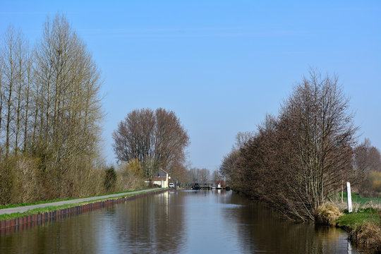 「Dendre」の写真素材 51件の無料イラスト画像 Adobe Stock