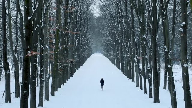 Aerial drone view of girl walking alone in snow covered forest.