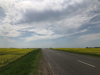road in the field