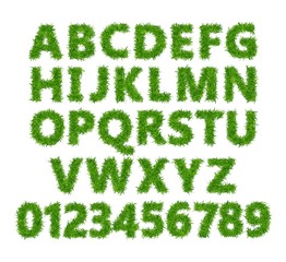 Green grass font. Lawn texture alphabet with numbers on white background. Vector illustration.