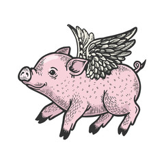 Angel flying baby little piggy color sketch engraving vector illustration. Scratch board style imitation. Black and white hand drawn image.
