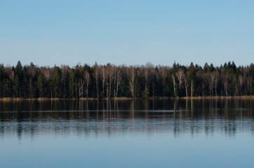 reflection of trees in water