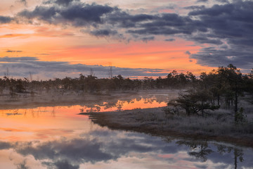 Fototapeta na wymiar Rising fog on a colorful and calm evening in a swamp of Kemeri National Park in Latvia - Image
