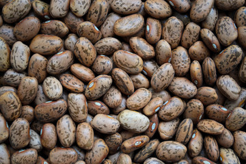 bean fruit closeup