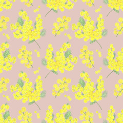 Obraz premium Mimosa flower seamless pattern