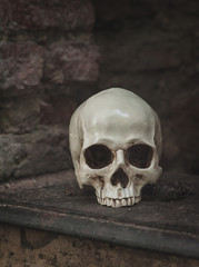 Human skull on the old abandoned building