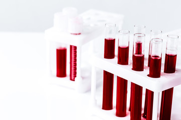 glass tubes with blood sample in stand no one