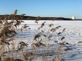 Frozen lake in Belarus in winter