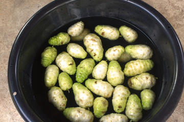 Noni fruit in water in black basin