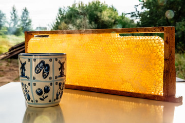 cup of tea, yelllow honeycombs empty and filled with honey