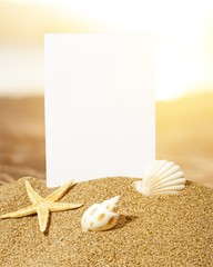 Seashells and starfish with blank card on sand beach