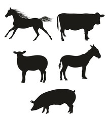 Set of silhouettes of animals  farm