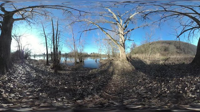 Nat&uuml;rlicher Auwald am Main, alte B&auml;ume, Hochwasserschutz, 360VR, VR360 360 Video