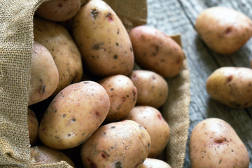 Potatoes fallen out from a burlap sack on wooden boards close up
