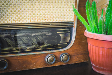 Close up on old vintage radio on hardwood and cactus in flower pot