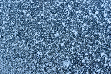 abstraction texture ice covered with large snowflakes frost hoarfrost