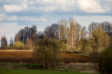Fototapeta na wymiar Landscape with plowed field, trees and blue sky