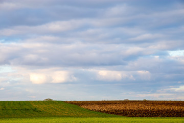 Obraz premium Landscape with plowed field and blue sky.