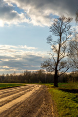 Landscape with empty rural road.