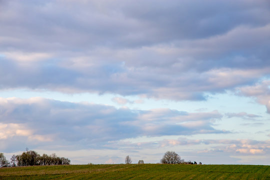 Landscape with cereal field and blue sky