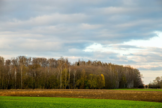 Landscape with plowed field, trees and blue sky