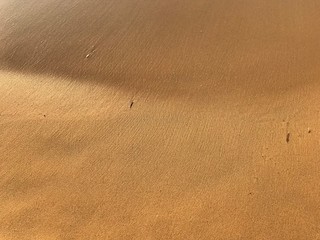 wet waves over sandy beach 