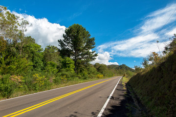 New asphalt road with forest on the sides and blue sky with few clouds, Urubici, Santa Catatarina