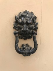 lion knocker on wooden door