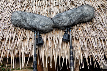 Two professional microphone on the rod for the film against the roof of a tropical Bungalow