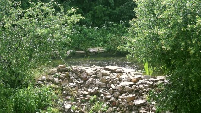 Drops of rain going down into a smooth water surface in a pond. The pond is surrounded by stones and a lush forest