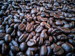 Freshly roasted coffee beans.